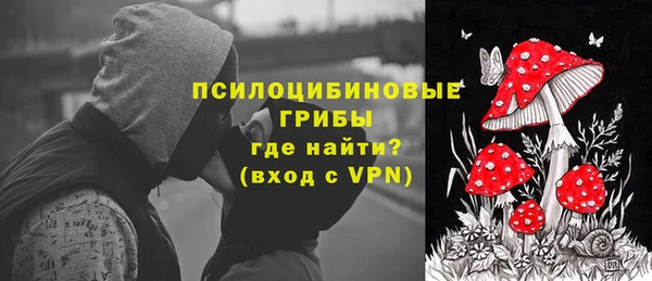 apvp Алексеевка