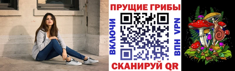 блэк спрут зеркало  площадка официальный сайт  Псилоцибиновые грибы Psilocybe  Березники 